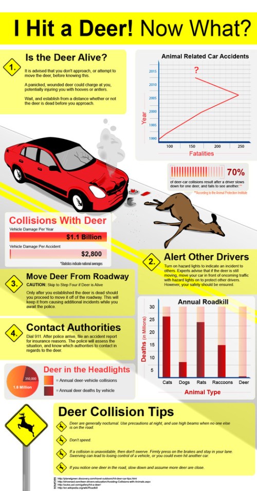 Media_httpdrivesteady_bekou