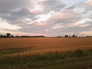 Media_https2i1picplzt_fdwwh