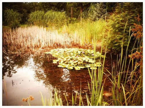 Media_https2i1picplzt_mpfij