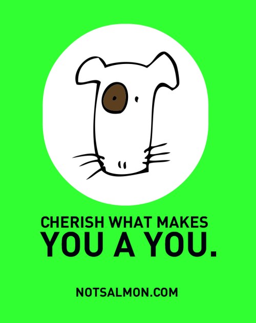 Media_httpnotsalmonco_cbtlu