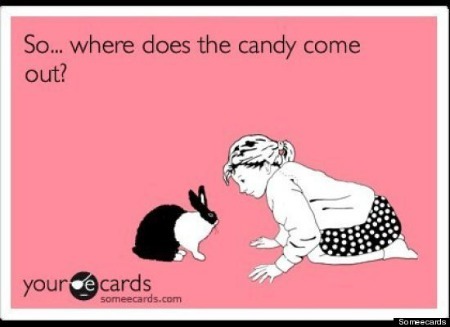 Media_httpfarm8static_hadhf