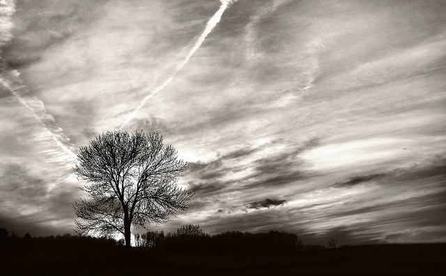 Under a Marble Sky | Pops Digital