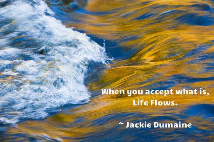 A8y05uBCAAAxMdr.jpg-large