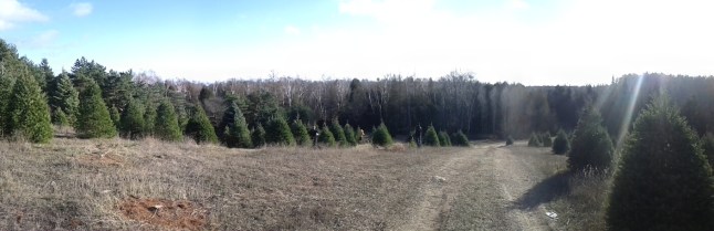 PANO_20121208_140222