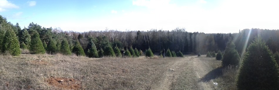 PANO_20121208_140222