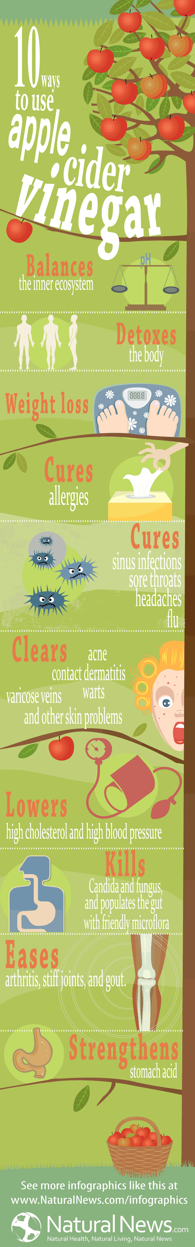 Infographic-10-benefits-to-use-Apple-Cider-Vinegar