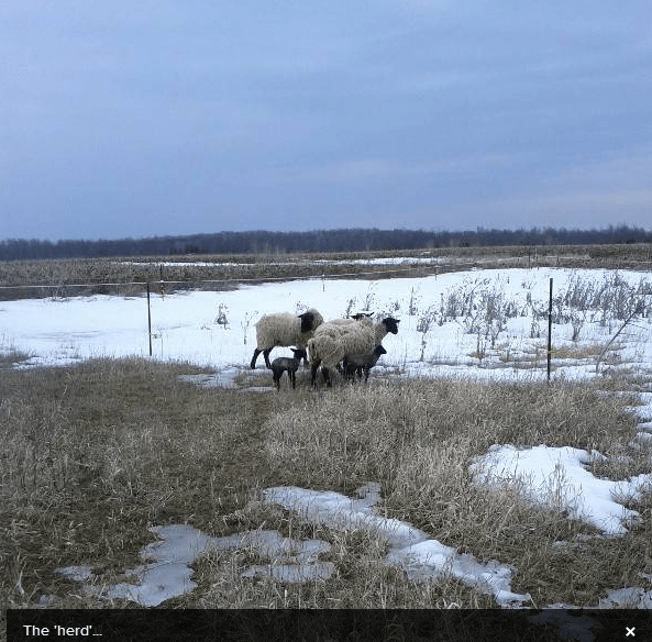 3-30-2013 5-30-49 PM