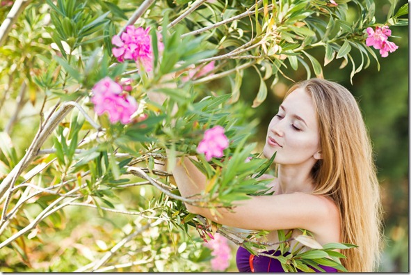 herbs-spring-energy[1]