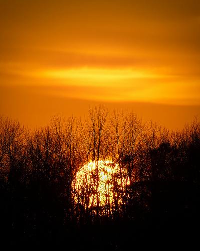 8637396592_818ac30e84