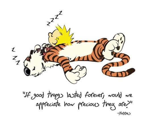 calvin-hobbes