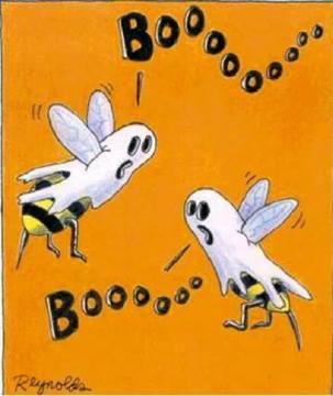 Boo Bees