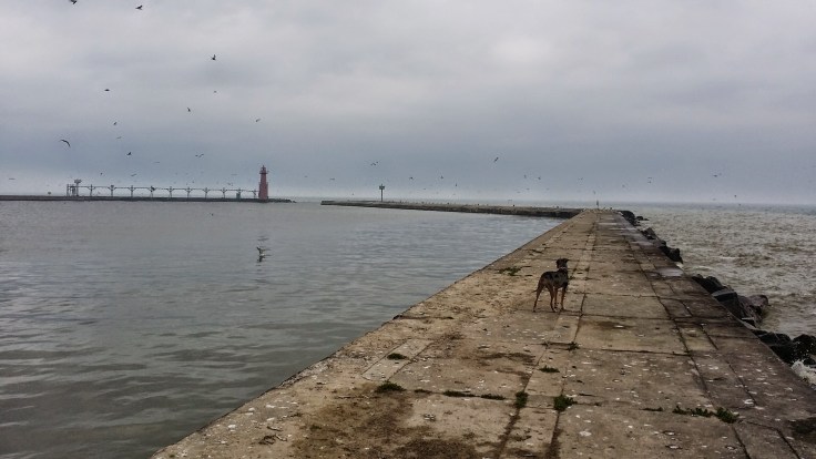 January 23, 2015 at 0704AM