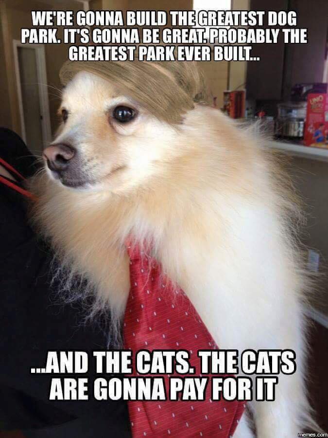 16508654_1253592054676728_5286625847425116755_n