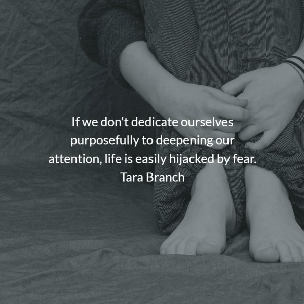 If we don't dedicate ourselves purposefully to deepening our attention, life is easily hijacked by fear. Tara Branch